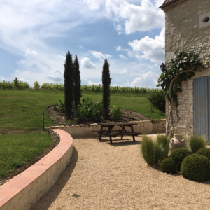 Garden and terrace